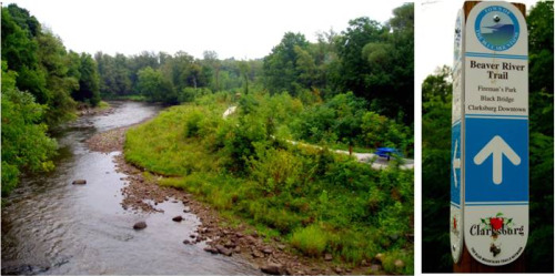 Beaver River Trail