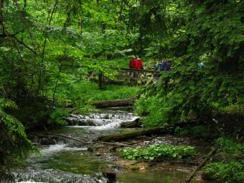 hiking trails