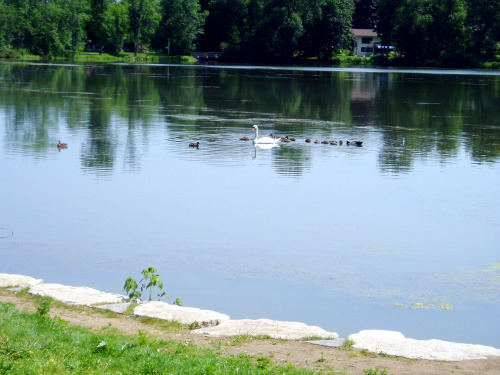 Fairy Lake Ontario