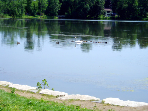 fairy lake southampton