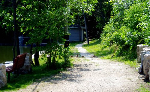 fairy lake ontario