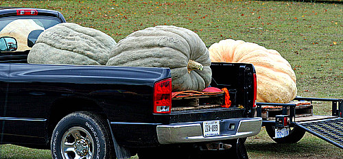 Pumpkinfest Port Elgin