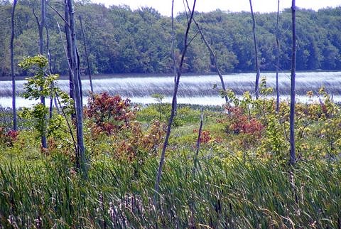 spry lake ontario