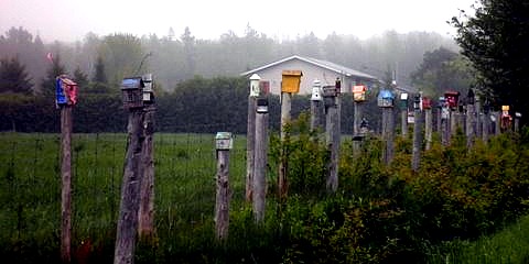 stokes bay birdhouses