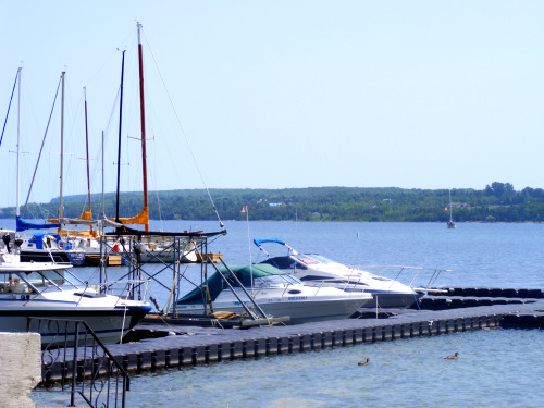 Wiarton Ontario Marina