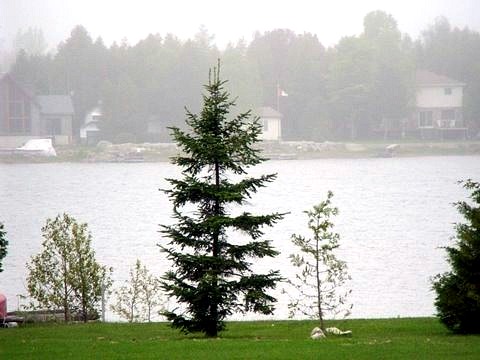 pike Bay