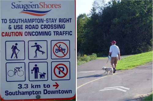 saugeen shores multi use trail